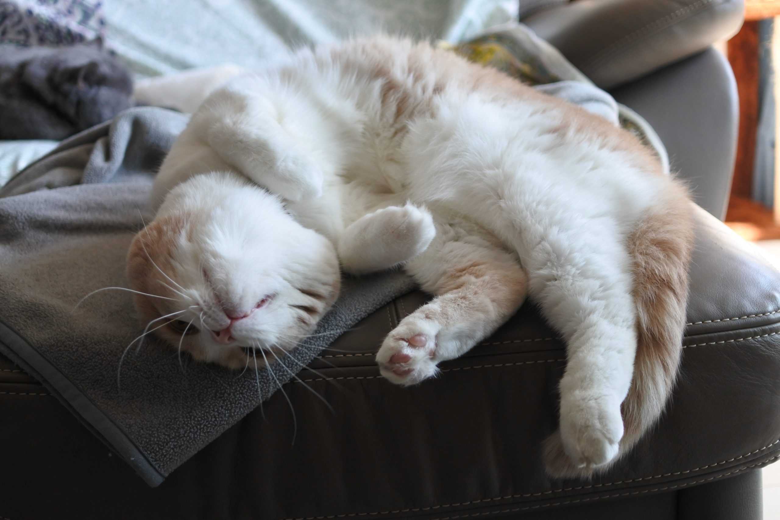 寒くなってきました