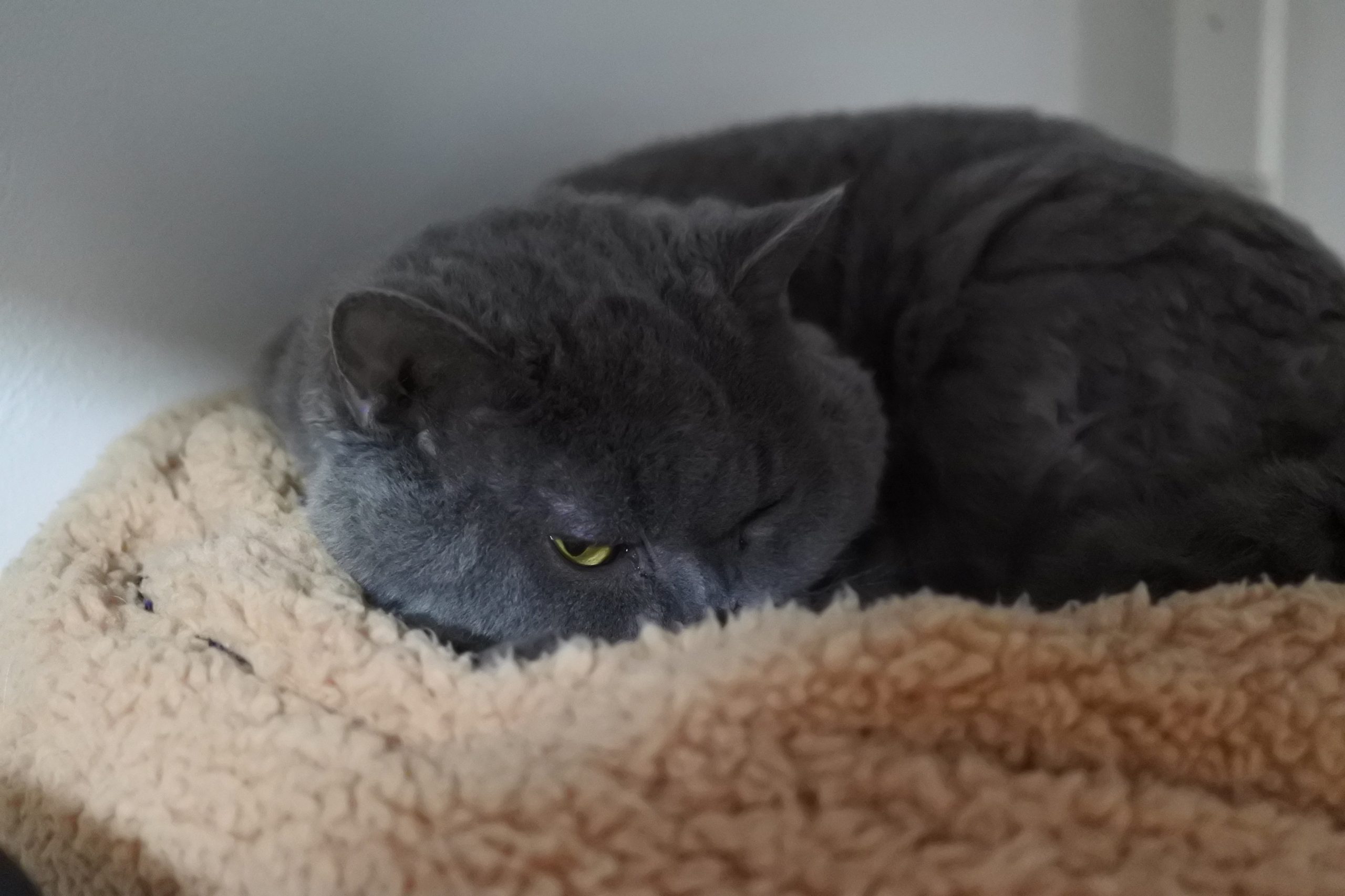 お家のなかは暖かいね