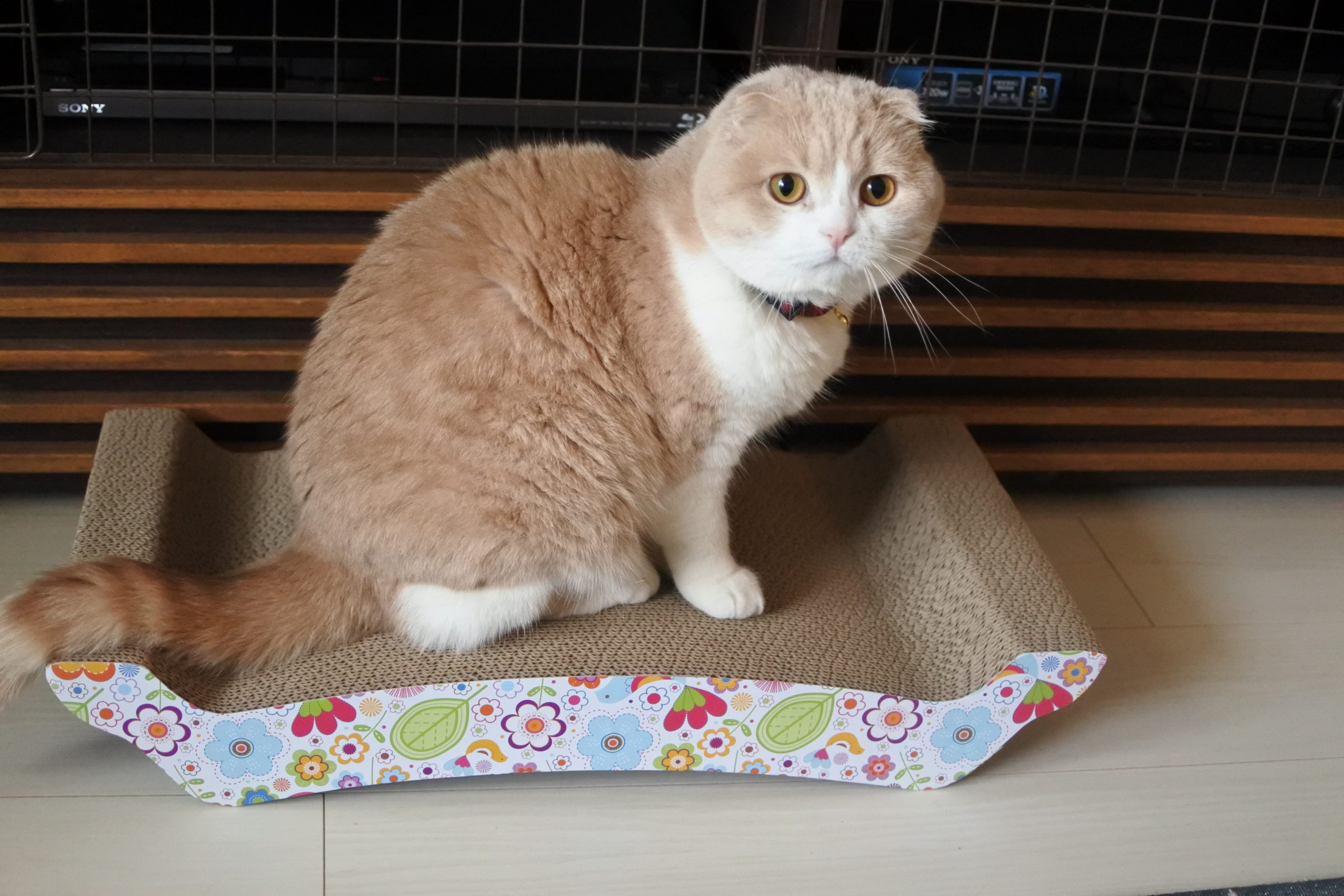 バリバリベッドLサイズを買ってMサイズと比べてみた